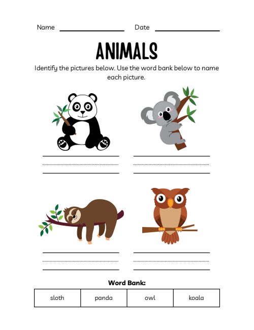 Animals Workbook, page 6