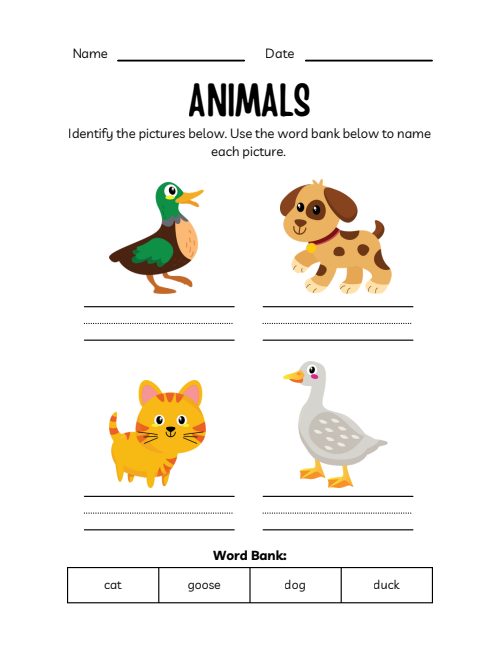Animals Workbook, page 3