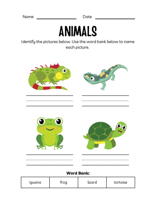 Animals Workbook, page 4