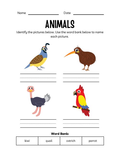 Animals Workbook, page 5