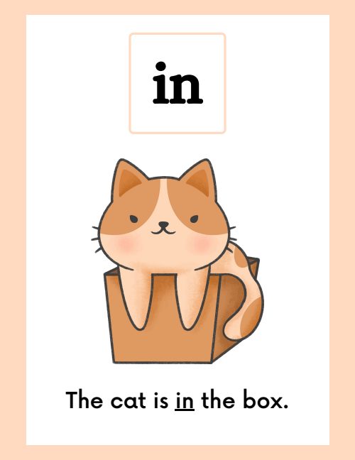 Flashcard — Worksheet 5