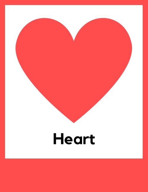 Flashcard — Worksheet 8