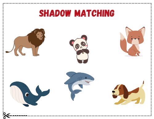 Shadow Matching