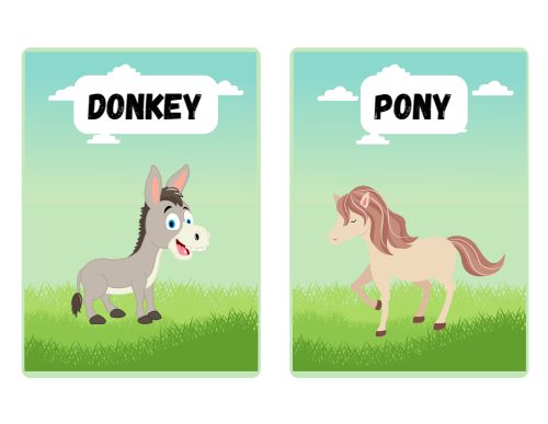 Farm Animals, page 3
