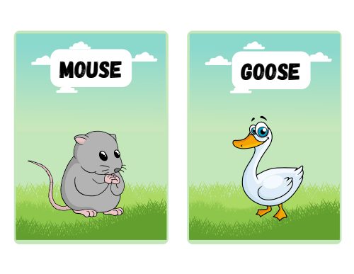 Farm Animals, page 6