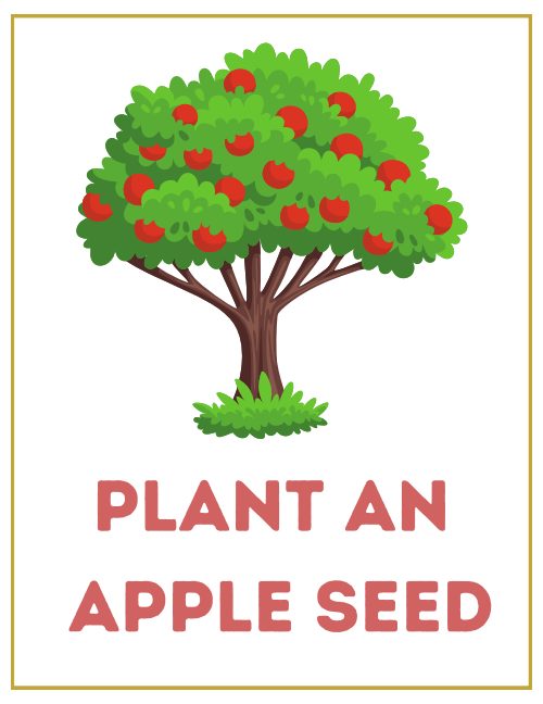 Apple Orchard