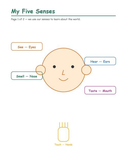 The Five Senses
