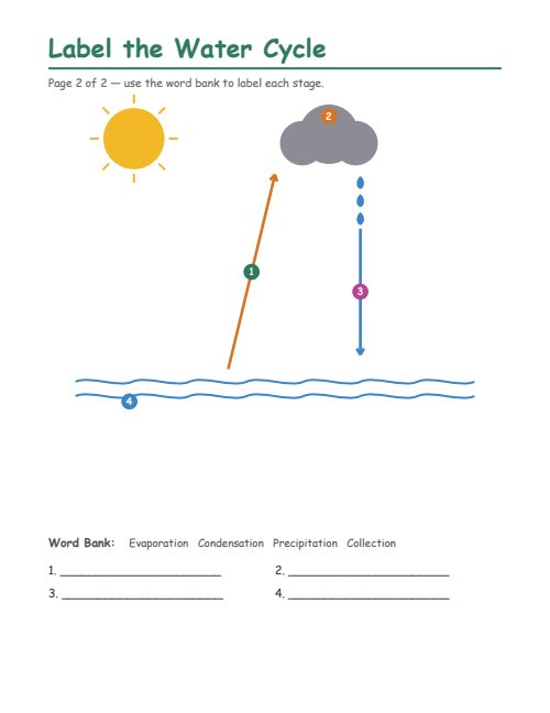 The Water Cycle, page 2