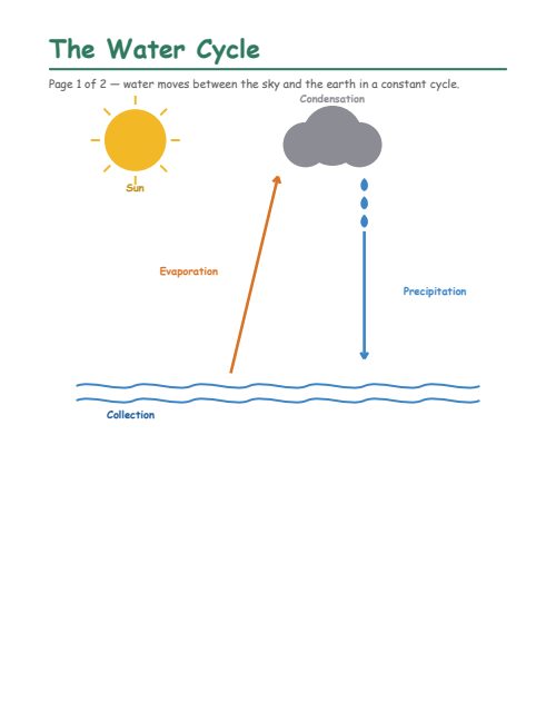The Water Cycle