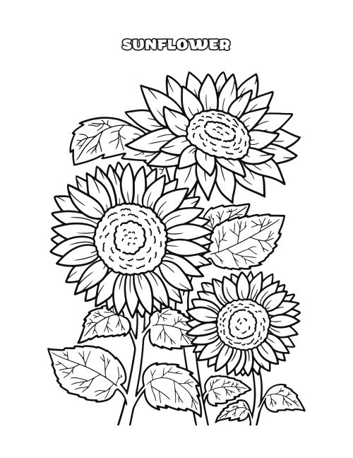 Flower Coloring Page Bundle, page 3