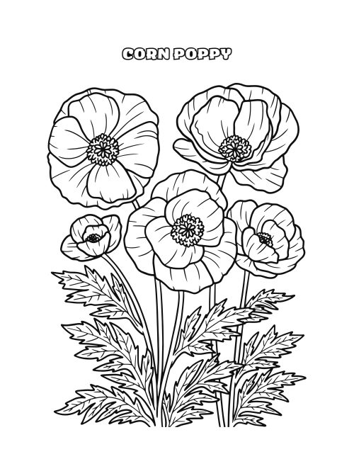 Flower Coloring Page Bundle, page 4