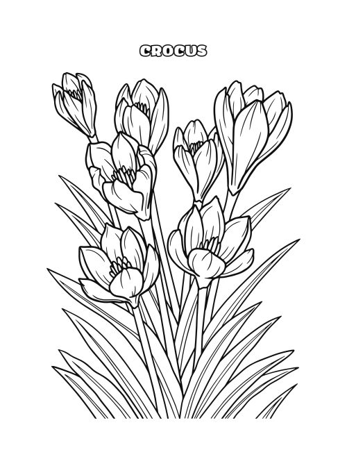 Flower Coloring Page Bundle, page 5