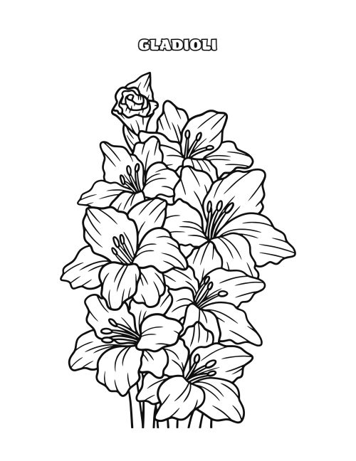 Flower Coloring Page Bundle, page 6